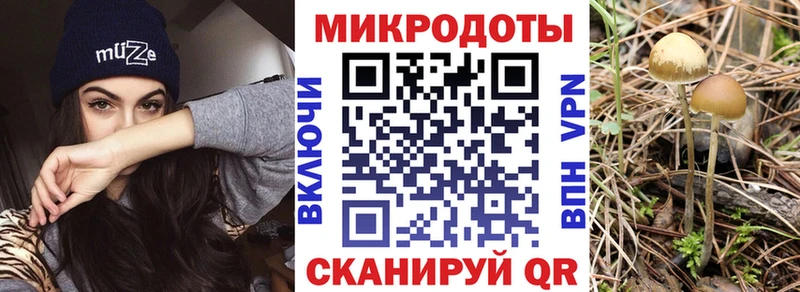 где купить наркоту  Ростов  Галлюциногенные грибы мицелий 